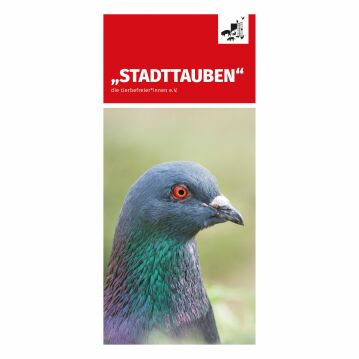 Flyer "Stadttauben"