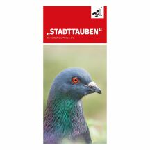 Flyer "Stadttauben"