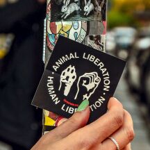 10x Aufkleber "Animal Liberation - Human...
