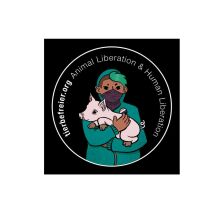 10x Aufkleber "Animal- Human Liberation | Schwein"