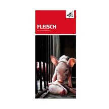 Flyer "Fleisch"
