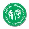 Button Animal Liberation - Human Liberation grün