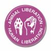 Button Animal Liberation - Human Liberation lila