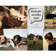Kalender 2024 | Schweinehund e.V.