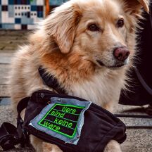 Aufnäher gestickt "Tiere sind keine Ware"